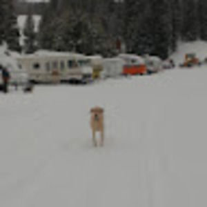 Meet your Posher, Leona